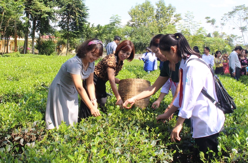 Thái Nguyên: Nhiều Hợp tác xã hướng đến du lịch nông nghiệp